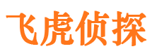 弓长岭侦探